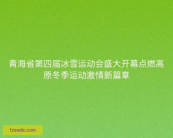 青海省第四届冰雪运动会盛大开幕点燃高原冬季运动激情新篇章